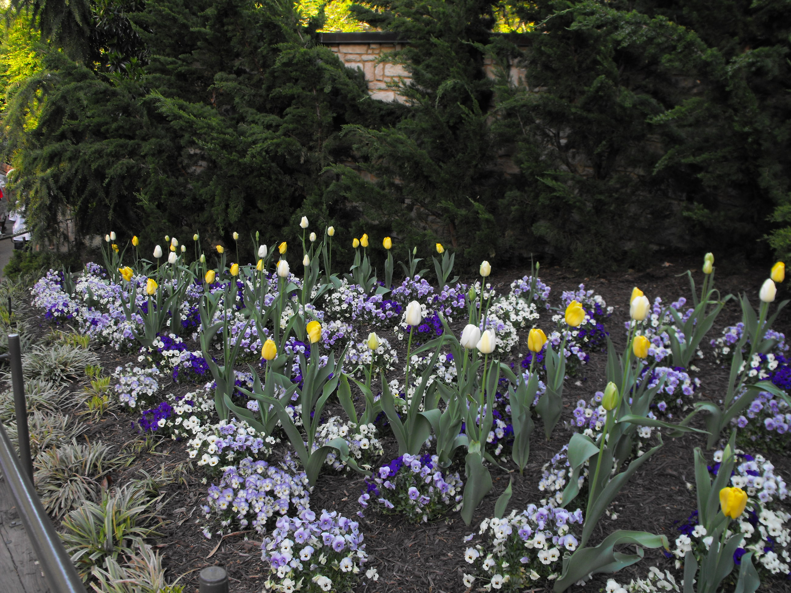 ./2010/BHS Chorus VA Beach/BHS Chorus VA Beach 0222.JPG